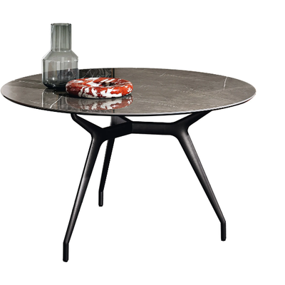 ARKOS-Round-table-Sovet-italia-556985-rel32429310.jpeg